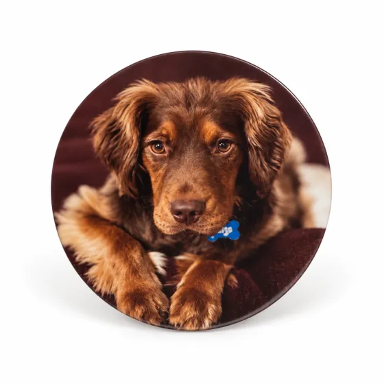 Posavasos personalizado con una fotografía de la mascota
